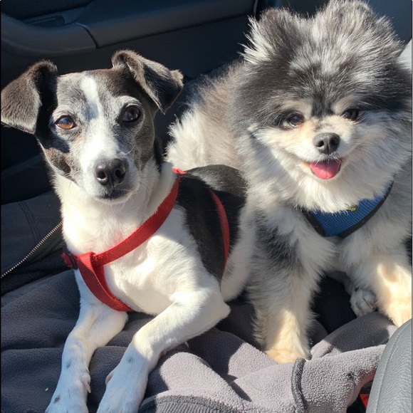 Meet your Posher, Laurie - Picture 8 of 15